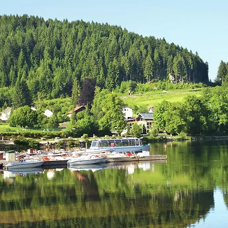 Charming Holiday Home In La Bresse With Sauna Σπίτι διακοπών *